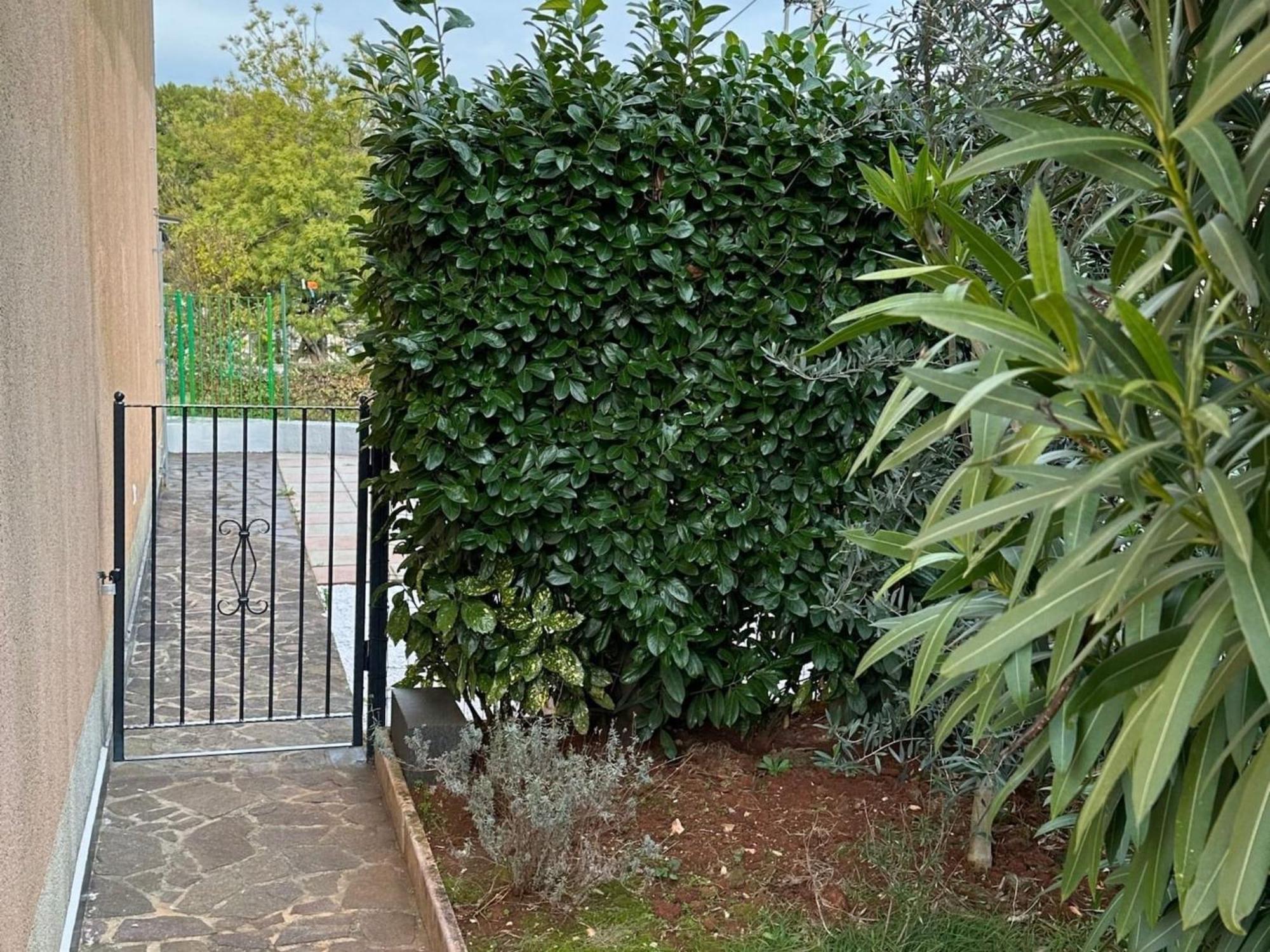 Apartment Classic And Modern With Terrace And Bbq - Two Bedroom With Terrace