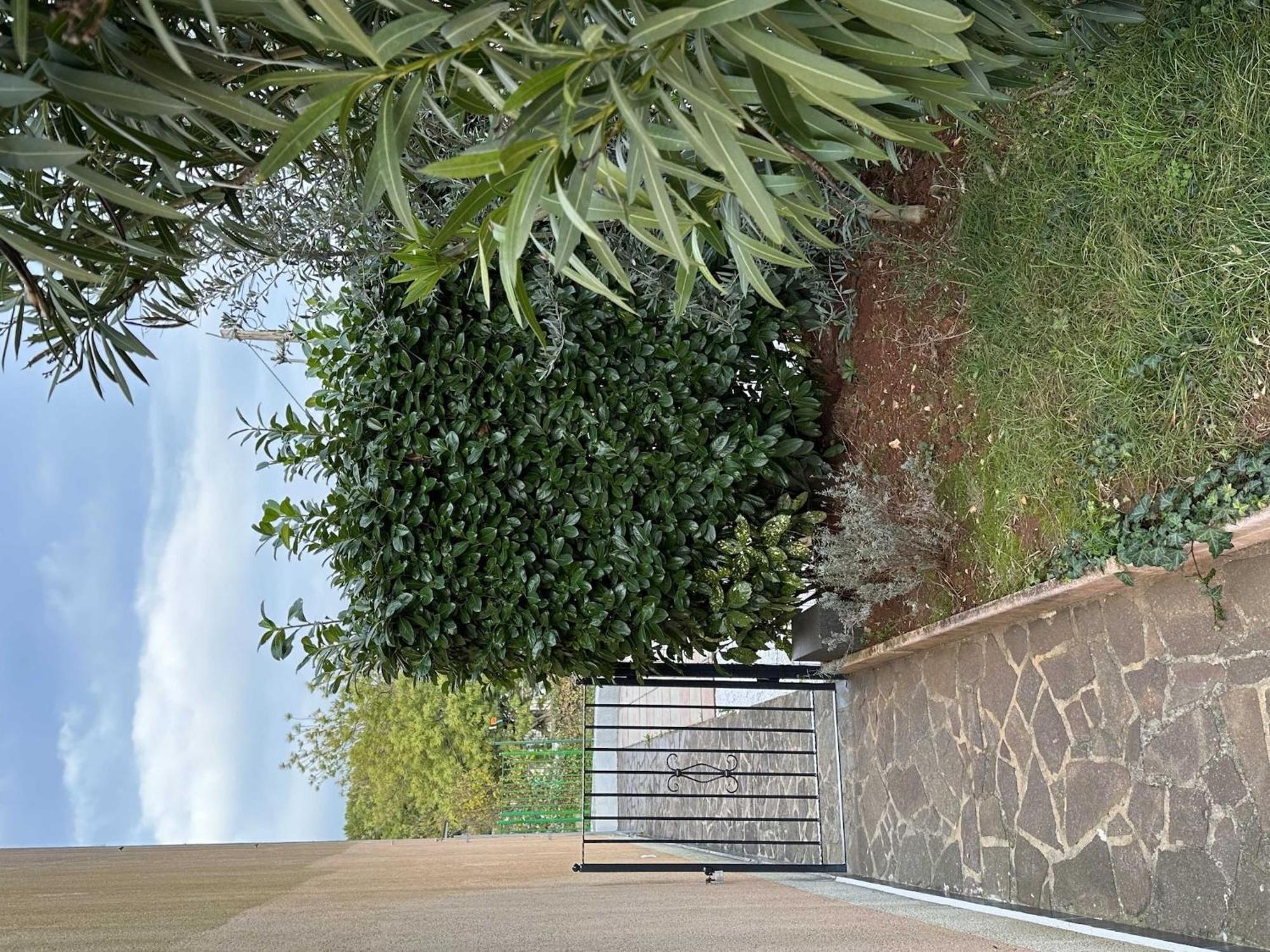 Classic And Modern With Terrace And Bbq - Two Bedroom With Terrace Apartment *